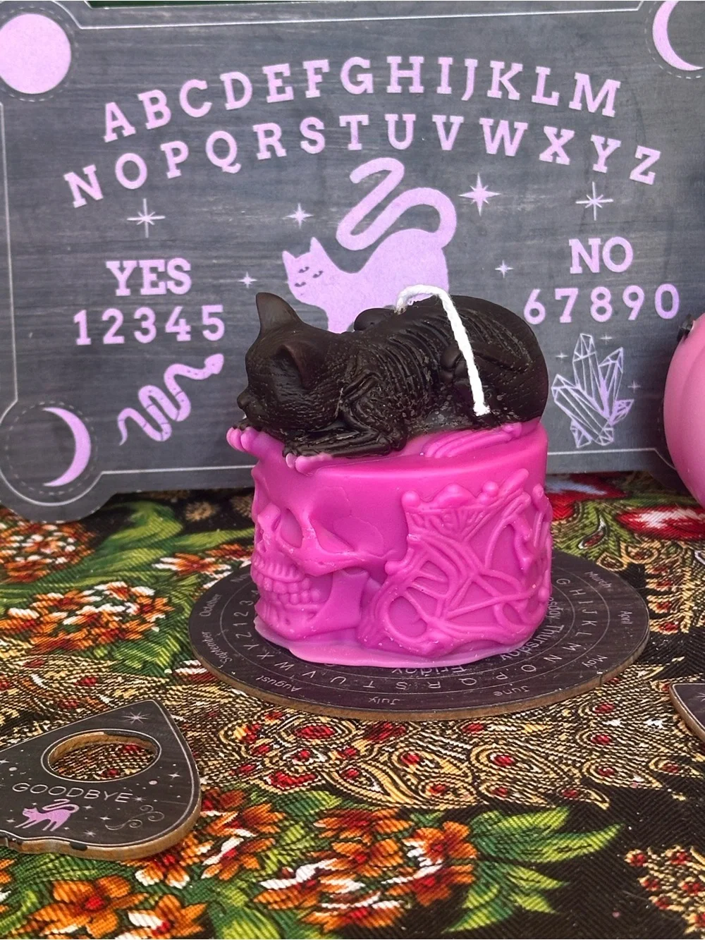 Cat on Skull Candle